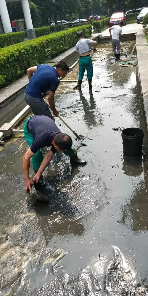 物业清理水池 营造优质环境