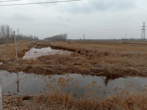 生态振兴丨助水河生态治理 旧河道换新颜