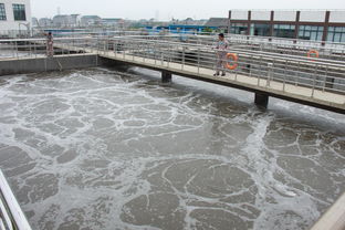 水处理技术 污水处理中厌氧池和好氧池调试