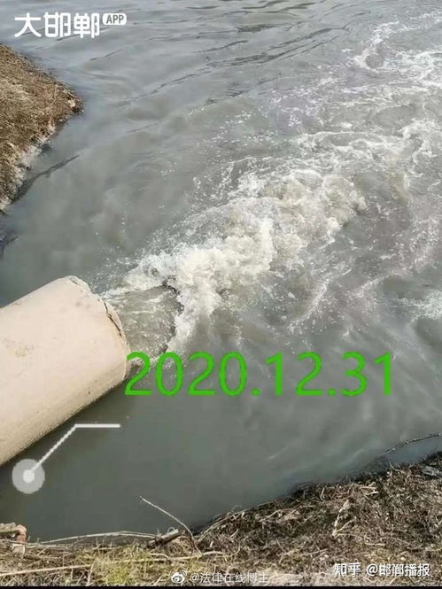 河北邯郸大名县污水直排入河 严重污染环境为何无人监管