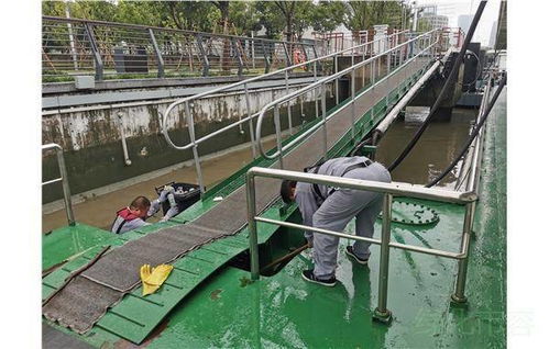 上海市市容环境卫生水上管理处及时清除台风天造成的黄浦江核心水域市容环境卫生污染