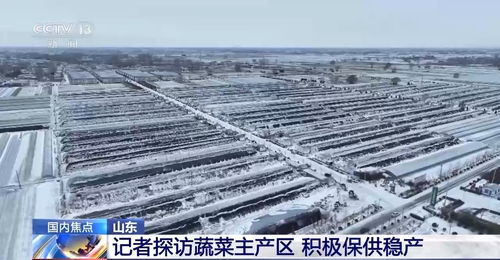 山东多地普降大雪 蔬菜如何做到价稳量足